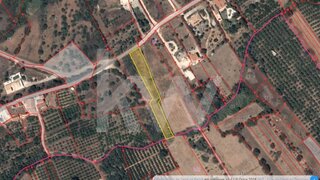 Land for sale in Silves, Portugal