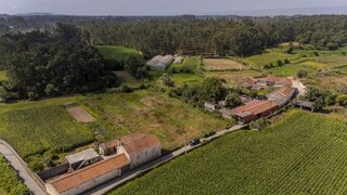 Land for sale in Barcelos, Portugal — €96,500