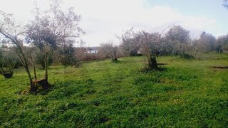 Land for sale in Soure, Portugal — €55,000
