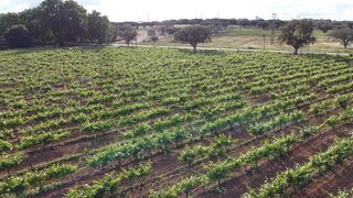 Land for sale in Alandroal, Portugal — €550,000