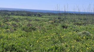 Terreno em Vila do Bispo
