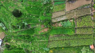 Terreno em São Vicente
