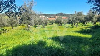 Land for sale in Penamacor, Portugal — €13,000
