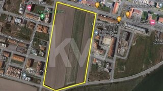 Land for sale in Vagos, Portugal — €4,980,000