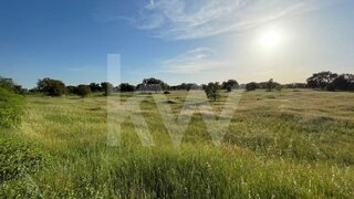 Land for sale in Benavente, Portugal — €385,000