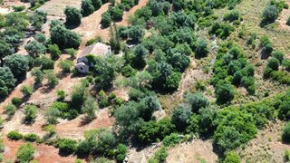 Land for sale in Silves, Portugal — €250,000
