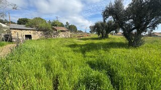 Land for sale in Mangualde, Portugal — €35,000