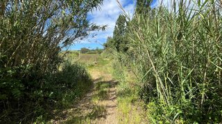 Land for sale in Mafra, Portugal — €50,000