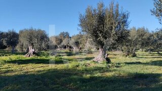 Land for sale in Grândola, Portugal — €450,000
