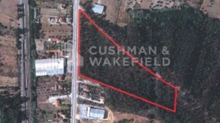 Land for sale in Pombal, Portugal — €1,300,000