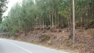Land for sale in Monchique, Portugal — €27,000