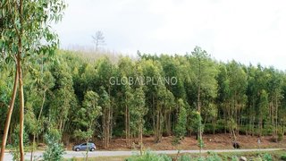 Land for sale in Monchique, Portugal — €50,000
