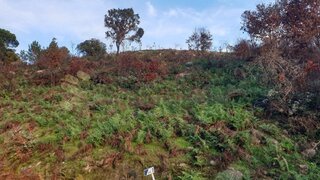 Land for sale in Baião, Portugal — €28,500