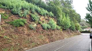 Terreno de 1580 m² em Coimbra