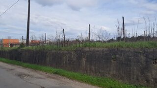 Land for sale in Anadia, Portugal — €25,000