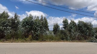 Land for sale in Águeda, Portugal — €1,200,000