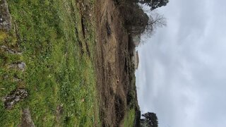 Land for sale in Penafiel, Portugal — €55,000