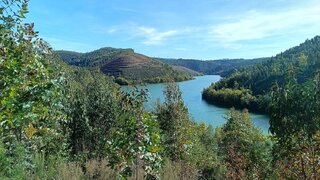 Land for sale in Pampilhosa da Serra, Portugal — €390,000