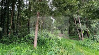 Land for sale in Estarreja, Portugal — €25,000