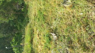Land for sale in Valongo, Portugal — €50,000