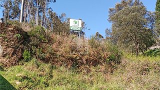 Land for sale in Oliveira de Azeméis, Portugal — €27,500