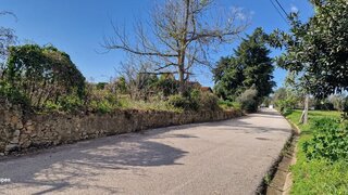 Terreno de 7500 m² em Coimbra