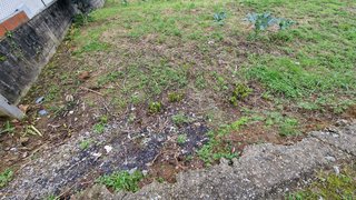 Land for sale in Santa Maria da Feira, Portugal — €62,500