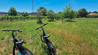 Land for sale in Santo Tirso, Portugal — €125,000