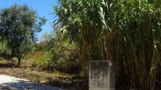 Land for sale in Figueira da Foz, Portugal — €500,000