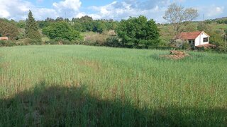 Land for sale in Vieira do Minho, Portugal — €50,000
