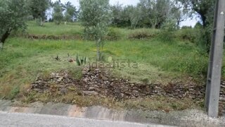 Land for sale in Penela, Portugal — €13,000