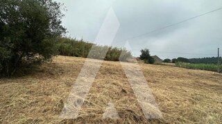 Land for sale in Anadia, Portugal — €87,000