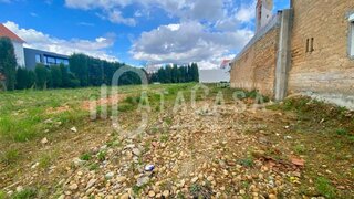 Land for sale in Anadia, Portugal — €28,500