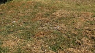 Land for sale in Águeda, Portugal — €60,000