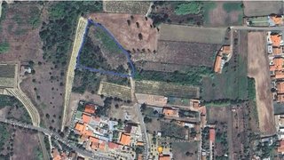 Land for sale in Anadia, Portugal — €12,000