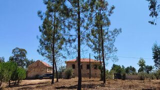 Terreno para venda em Tábua, Portugal — 5500 €