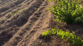 Land for sale in Oliveira do Bairro, Portugal — €57,500