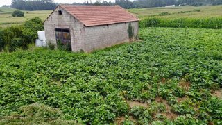 Land for sale in Barcelos, Portugal — €107,500