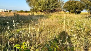 Land for sale in Aveiro, Portugal — €25,000