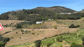 Land for sale in Baião, Portugal — €150,000