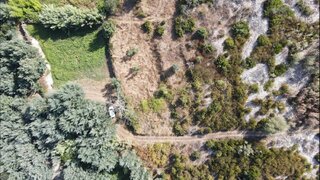 Land for sale in Arganil, Portugal — €15,000