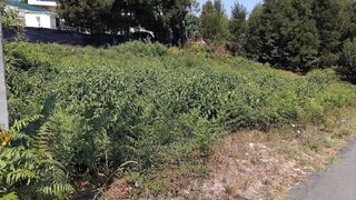 Land for sale in Paredes, Portugal — €55,000