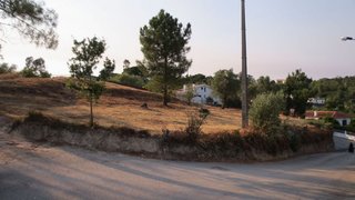 Terreno em Coimbra · 900 m² · 50 000 €