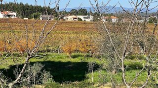 Land for sale in Águeda, Portugal — €49,950
