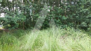 Land for sale in Oliveira de Azeméis, Portugal — €245,000
