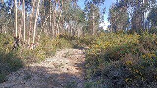 Land for sale in Ponte de Lima, Portugal — €450,000