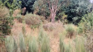 Land for sale in Oliveira do Hospital, Portugal — €20,000