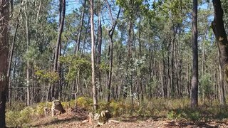 Terreno para venda em Vila do Conde, Portugal — 300 000 €