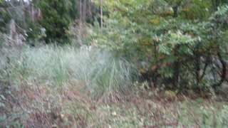 Land for sale in Gondomar, Portugal — €65,000