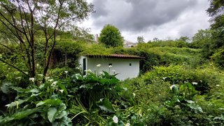 Land for sale in Sever do Vouga, Portugal — €55,000
